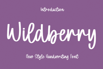 Wildberry Font: Creative Typography for Modern Design Projects